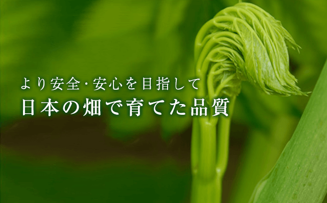 より安全・安心を目指して日本の畑で育てた品質