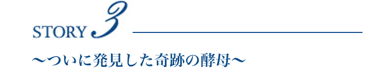 Story3 ～ついに発見した奇跡の酵母～