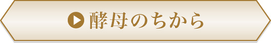 酵母のちから