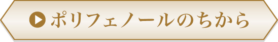 ポリフェノールのちから
