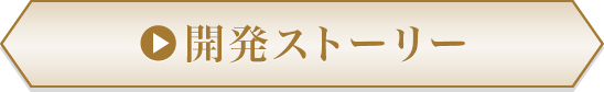 開発ストーリー
