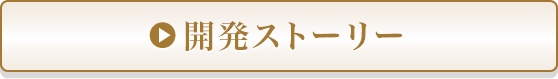 開発ストーリー