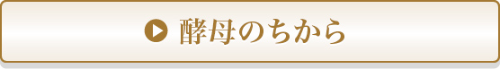 酵母のちから