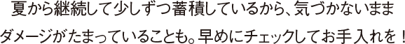 夏から継続して少しずつ蓄積しているから、気づかないままダメージがたまっていることも。早めにチェックしてお手入れを ！