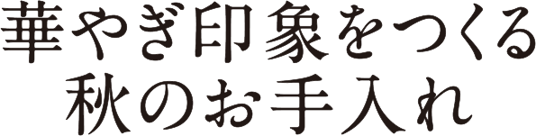 華やぎ印象をつくる 秋のお手入れ