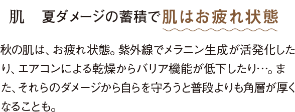 肌 夏ダメージの蓄積で肌はお疲れ状態 秋の肌は、お疲れ状態。紫外線でメラニン生成が活発化したり、エアコンによる乾燥からバリア機能が低下したり…。また、それらのダメージから自らを守ろうと普段よりも角層が厚くなることも。
                            