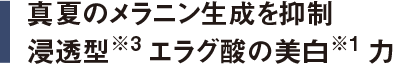 真夏のメラニン生成を抑制 浸透型※3エラグ酸の美白※1力