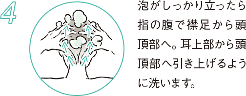 4 泡がしっかり立ったら指の腹で襟足から頭頂部へ。耳上部から頭頂部へ引き上げるように洗います。