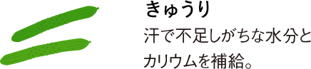 きゅうり汗で不足しがちな水分とカリウムを補給。
