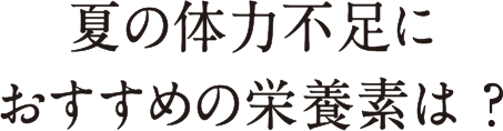 夏の体力不足におすすめの栄養素は？