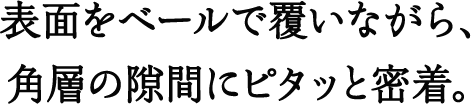 表面をベールで覆いながら、角層の隙間にピタッと密着。