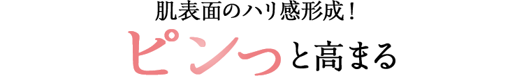 肌表面のハリ感形成！ピンっと高まる