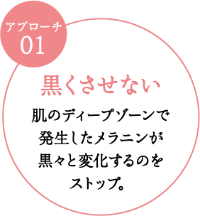 黒くさせない肌のディープゾーンで発生したメラニンが黒々と変化するのをストップ。