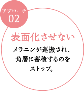 表面化させないメラニンが運搬され、角層に蓄積するのをストップ。