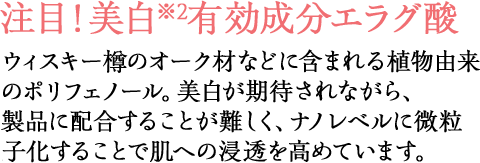 注目！美白※有効成分エラグ酸ウィスキー樽のオーク材などに含まれる植物由来のポリフェノール。高い美白効果が期待されながら、製品に配合することが難しく、ナノレベルに微粒子化することで肌奥への浸透を高めています。