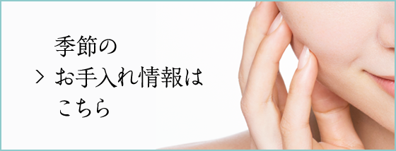 季節のお手入れ情報はこちら