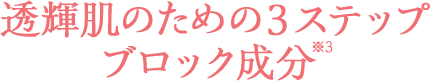 透輝肌のための３ステップ※3 ブロック成分