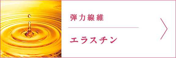 弾力線維エラスチン