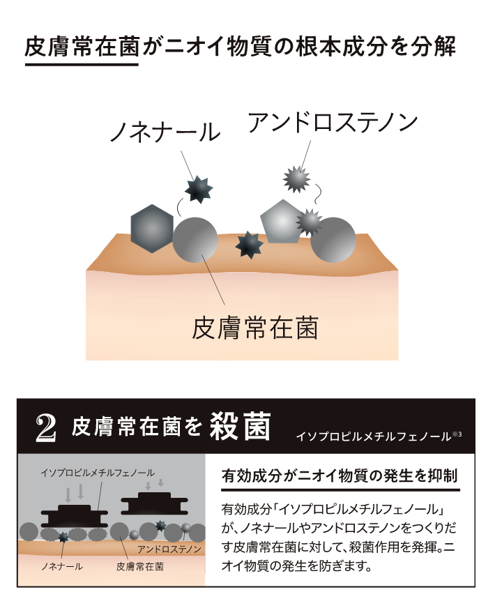 2皮膚常在菌殺菌