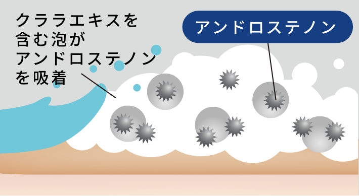 抗ノネナールPCのイラスト