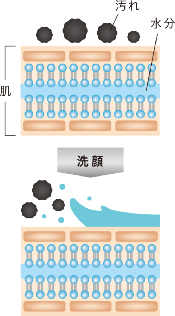 varpnフェイスウオッシュの仕組みの画像