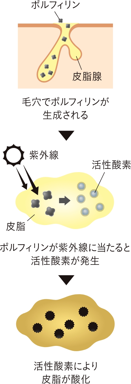 ポルフィリンの画像