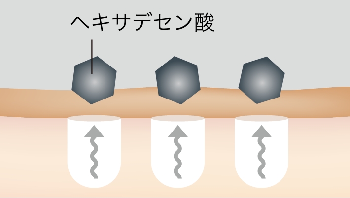 ヘキサデセン酸のイラスト