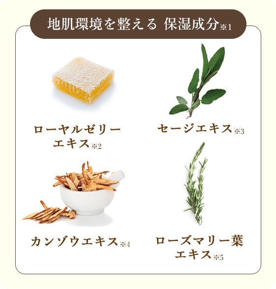 リバイタライズ シャンプー Enherb エンハーブ 公式通販 スキンケア ヘアケアの通販 サントリーウエルネスオンライン