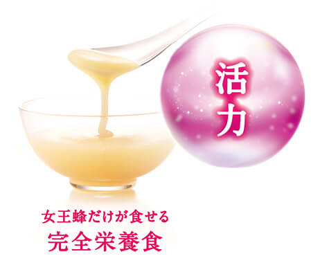 ローヤルゼリー セサミンe 公式通販 サプリメント 健康食品の通販 サントリーウエルネスオンライン