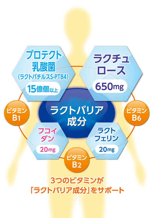3つのビタミンが「ラクトバリア成分」をサポート ラクトバリア成分 フコイダン20mg ラクチュロース650mg プロテクト乳酸菌(ラクトバチルスS-PT84) 15億個以上 ラクトフェリン20mg ビタミンB1 ビタミンB2 ビタミンB6