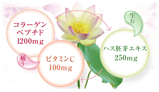 コラーゲン プルミエール 公式通販 サプリメント 健康食品の通販 サントリーウエルネスオンライン