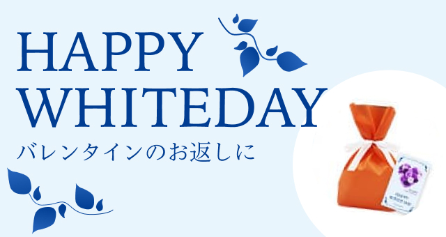HAPPY WHITE DAY バレンタインのお返しに 3.14 ホワイトデーギフト包装・カード付き