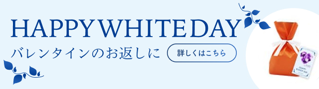 ホワイトデーギフト用包装のご案内