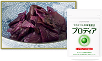 7年の歳月をかけ鍛え抜いた乳酸菌
