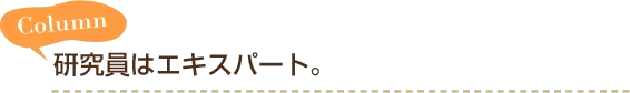 Column 研究員はエキスパート。